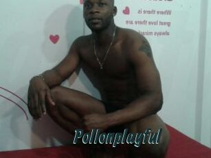 Pollonplayful