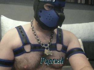 Puprush