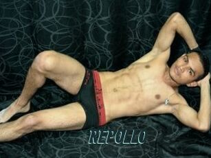 REPOLLO
