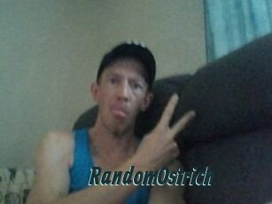 RandomOstrich