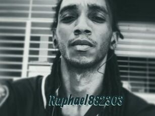 Raphael882303