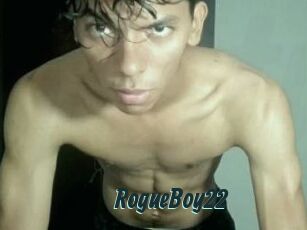 RogueBoy22
