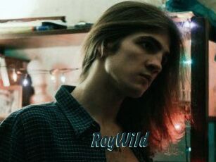 RoyWild