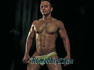 Romeobig22cm