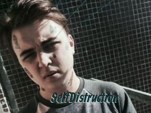 SelfDistruction
