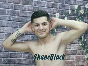 ShaneBlack