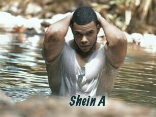 Shein_A