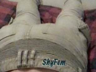 ShyFem