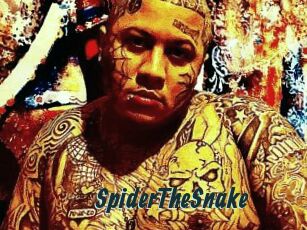 SpiderTheSnake