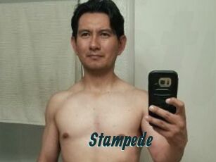 Stampede