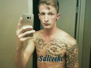 Sdlivekc