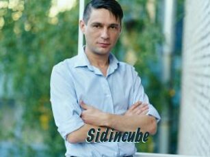 Sid_incube