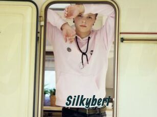 Silkybert