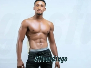 Silverdingo
