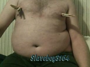 Slaveboy3164