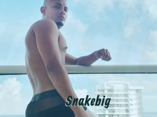 Snakebig