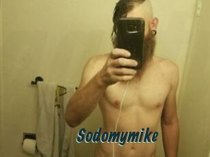 Sodomymike