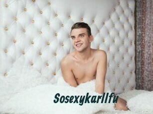 Sosexykarllfu
