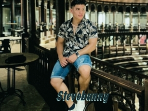 Stevebunny