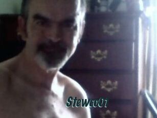 Stewco01