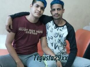 Tegusta29xx