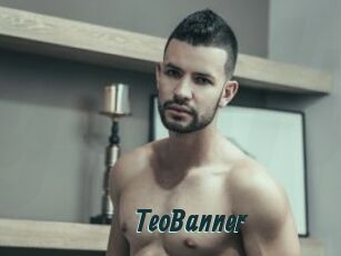 TeoBanner