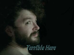 Terrible_Here