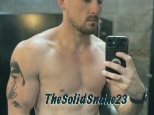 TheSolidSnake23