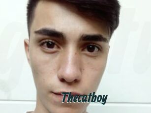 Thecatboy