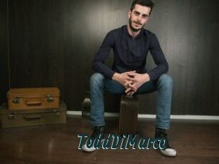 ToddDiMarco
