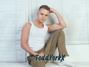 ToddYorkX