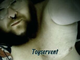 Toyservent