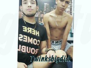 Twinksbigdick