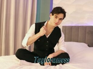 Tayloramess