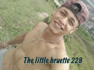 The_little_bruette_228