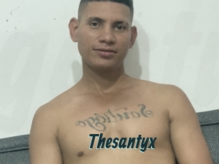 Thesantyx