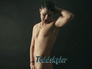 Toddskyler