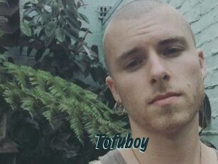 Tofu_boy