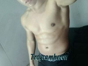 Troycamheron