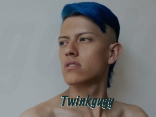 Twinkguyy