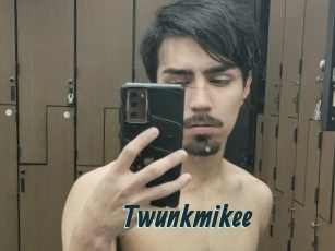 Twunkmikee