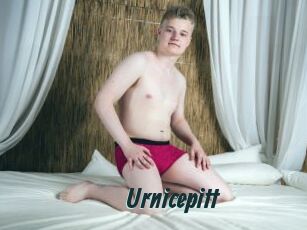 Urnicepitt