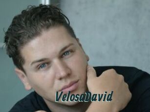 VelosaDavid