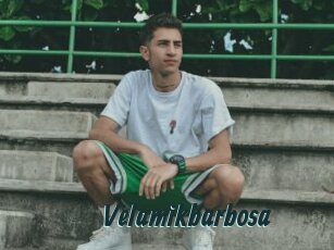 Velamikbarbosa