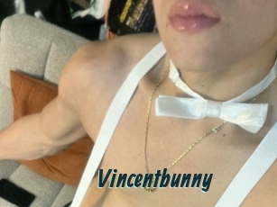 Vincentbunny