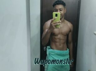 Wapomonster