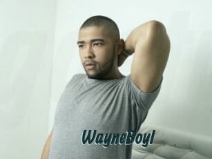 WayneBoyI