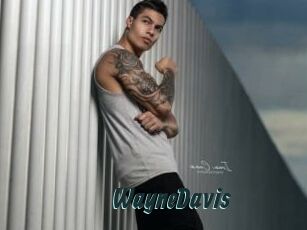 WayneDavis
