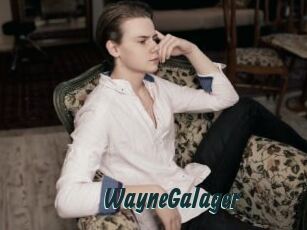 WayneGalager