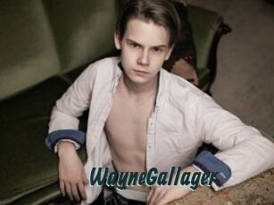 WayneGallager